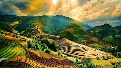 Вьетнам  Қазақстаннан