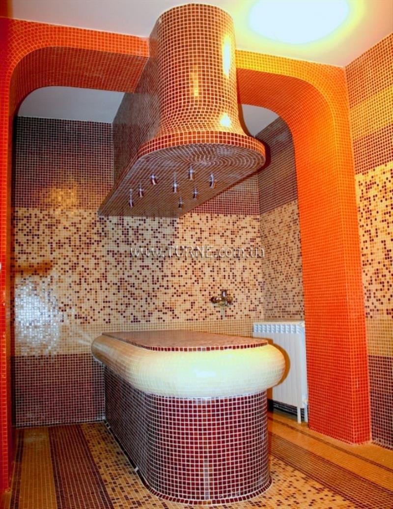 Изображение Orfey 2*