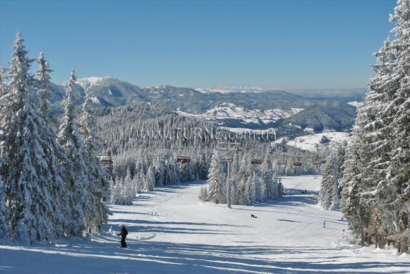 Фотография Orfey 2*