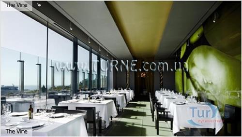 The Vine, a divine hotel 5* фотосуреті