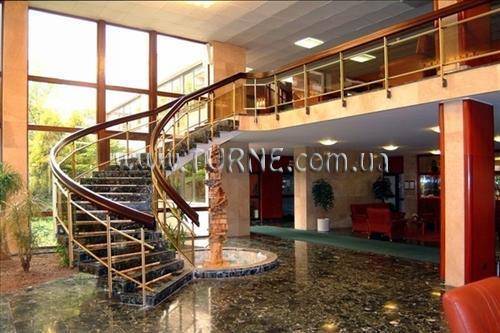 Отель Balnea Palace 4*